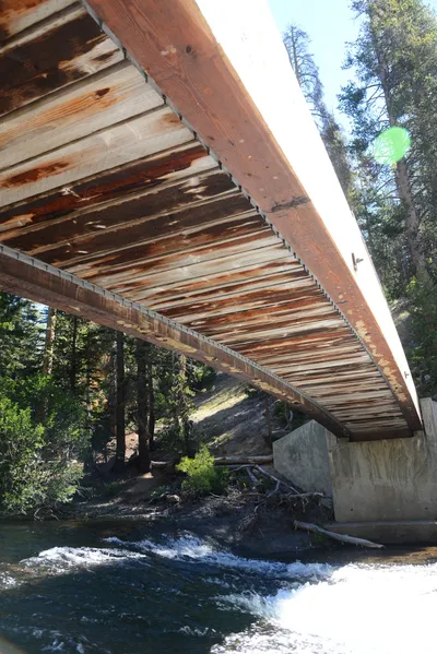 DSC_9895 (Large).JPG